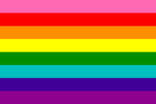 220px-Gay_flag_8